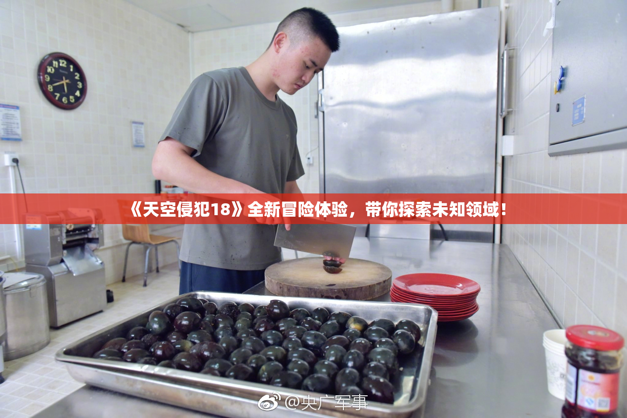 《天空侵犯18》全新冒险体验，带你探索未知领域！