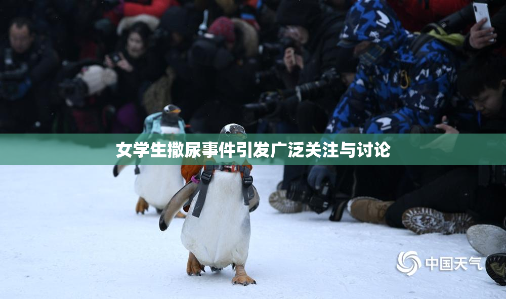 女学生撒尿事件引发广泛关注与讨论