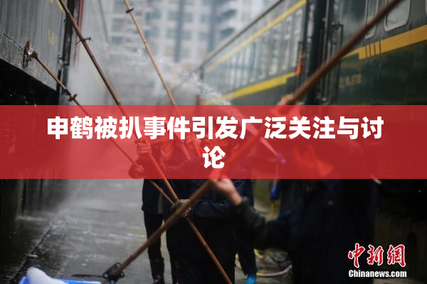 申鹤被扒事件引发广泛关注与讨论