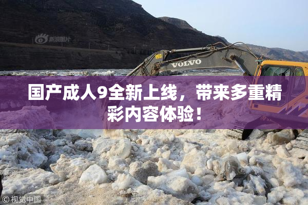 国产成人9全新上线，带来多重精彩内容体验！