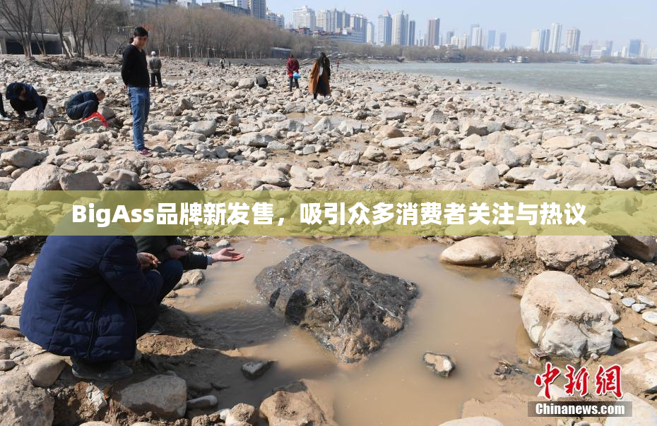 BigAss品牌新发售，吸引众多消费者关注与热议