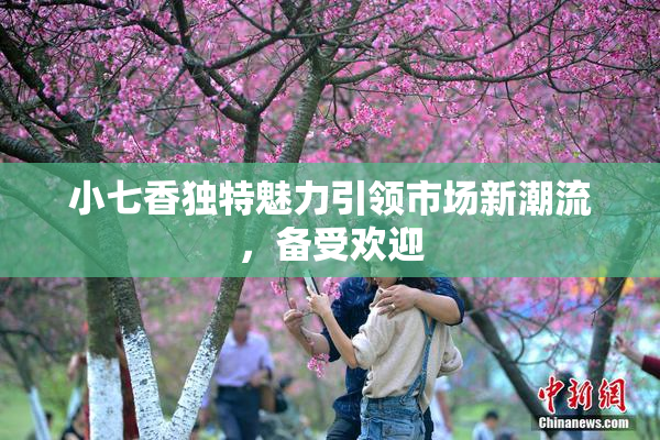 小七香独特魅力引领市场新潮流，备受欢迎