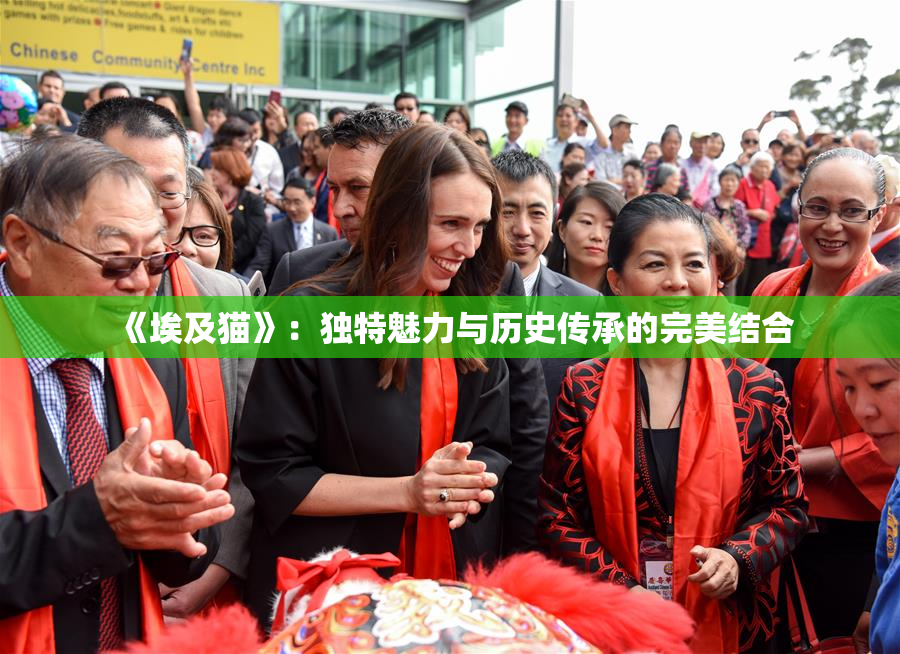 《埃及猫》：独特魅力与历史传承的完美结合