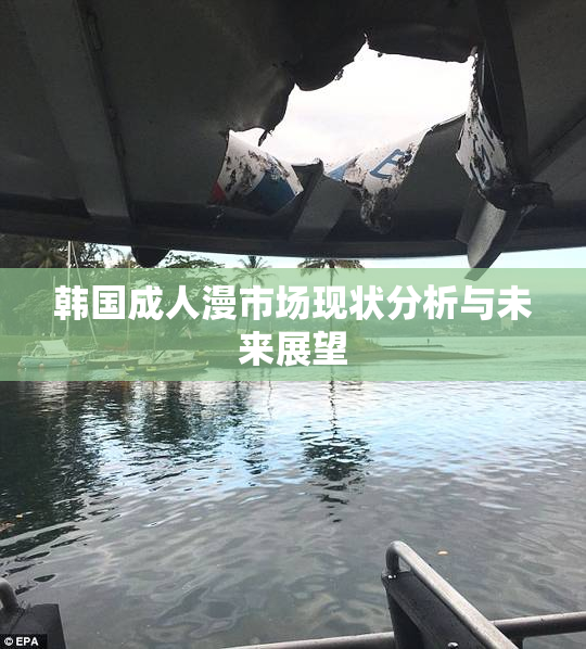 韩国成人漫市场现状分析与未来展望