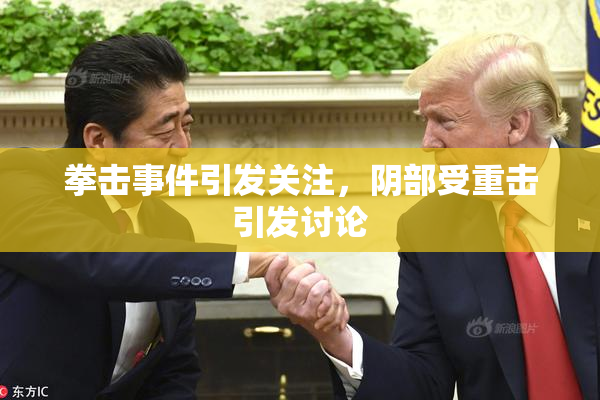 拳击事件引发关注，阴部受重击引发讨论