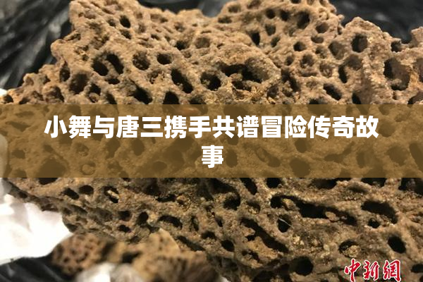 小舞与唐三携手共谱冒险传奇故事