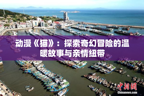 动漫《猫》：探索奇幻冒险的温暖故事与亲情纽带
