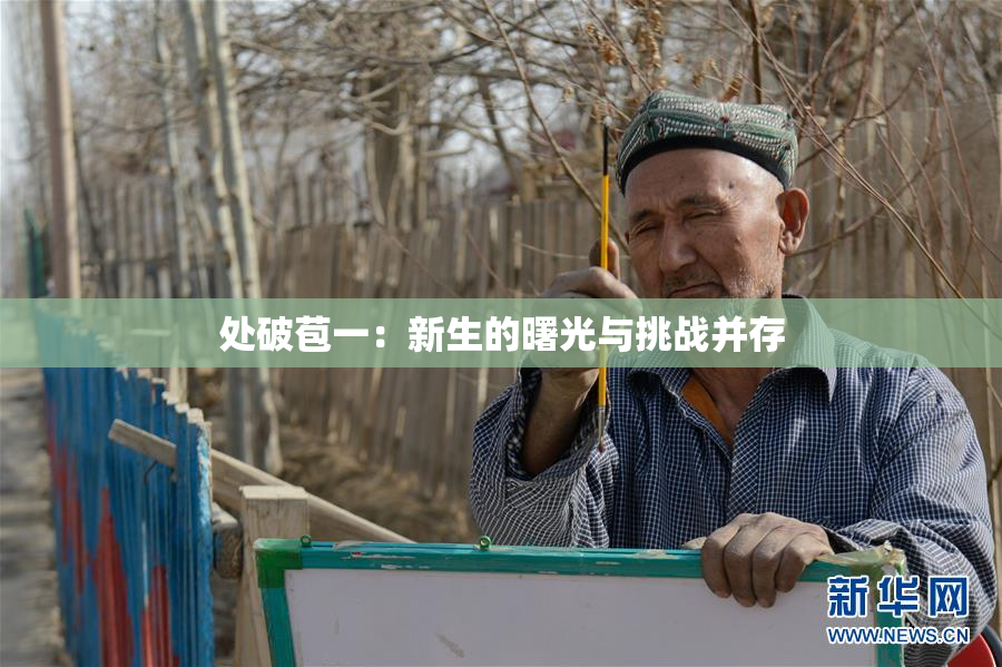 处破苞一：新生的曙光与挑战并存