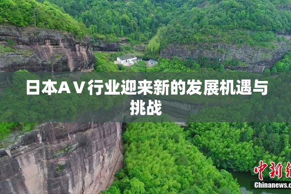 日本AⅤ行业迎来新的发展机遇与挑战