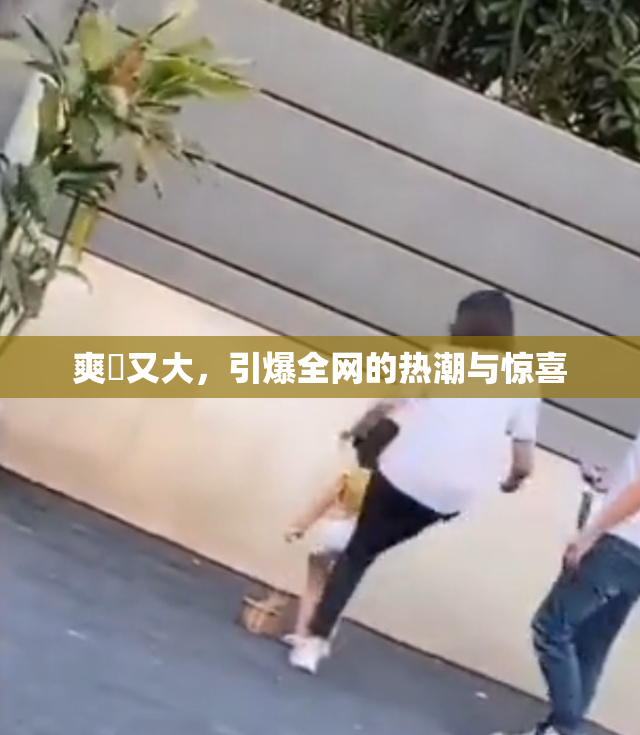 爽擼又大，引爆全网的热潮与惊喜