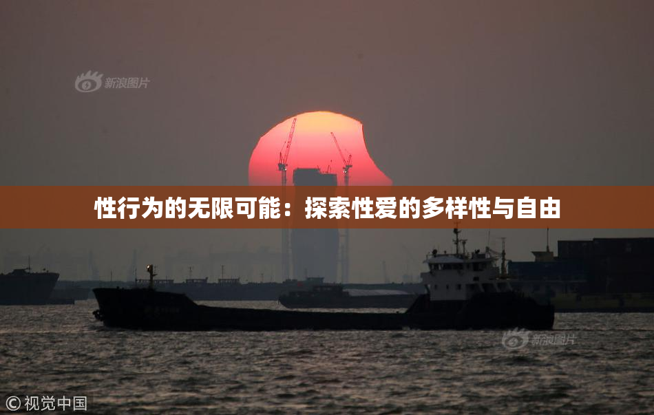 性行为的无限可能：探索性爱的多样性与自由