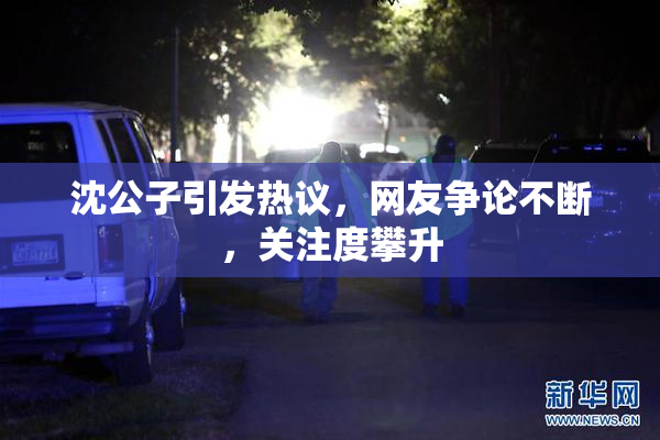 沈公子引发热议，网友争论不断，关注度攀升
