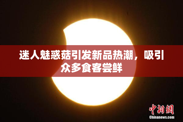 迷人魅惑菇引发新品热潮，吸引众多食客尝鲜