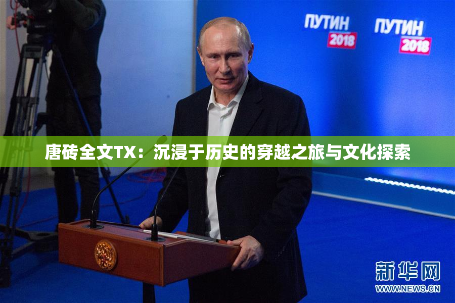 唐砖全文TX：沉浸于历史的穿越之旅与文化探索
