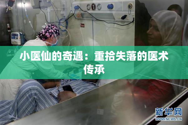 小医仙的奇遇：重拾失落的医术传承