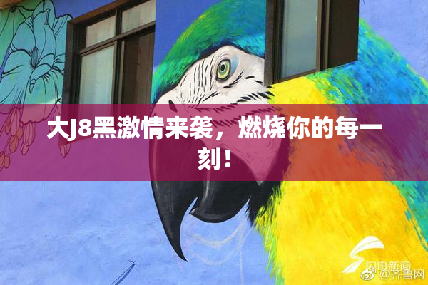 大J8黑激情来袭，燃烧你的每一刻！