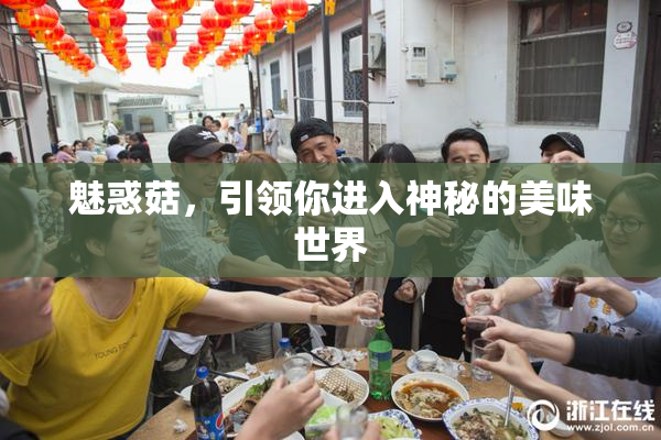魅惑菇，引领你进入神秘的美味世界