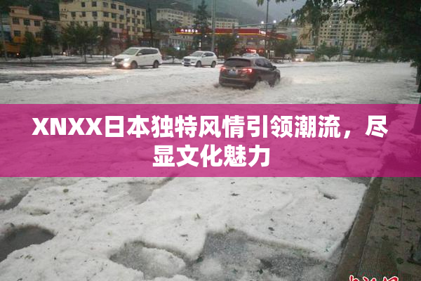 XNXX日本独特风情引领潮流，尽显文化魅力