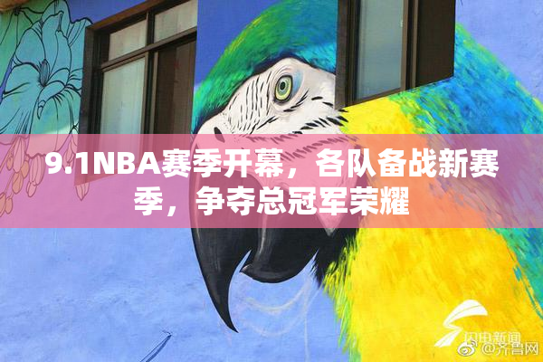 9.1NBA赛季开幕，各队备战新赛季，争夺总冠军荣耀