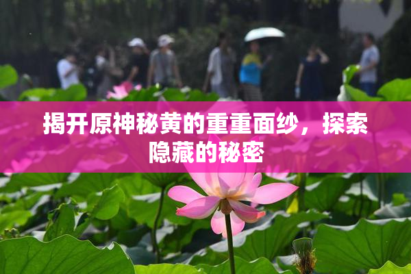 揭开原神秘黄的重重面纱，探索隐藏的秘密