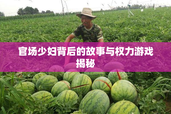 官场少妇背后的故事与权力游戏揭秘