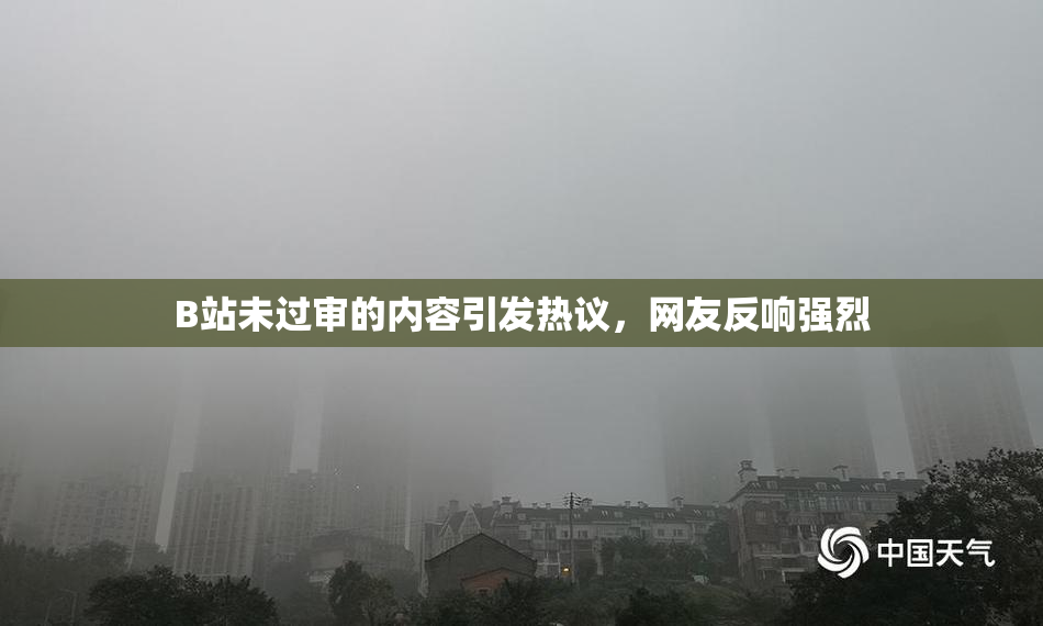 B站未过审的内容引发热议，网友反响强烈