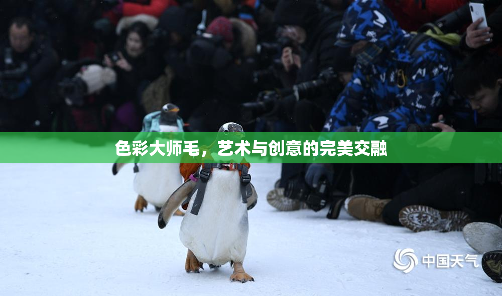 色彩大师毛，艺术与创意的完美交融