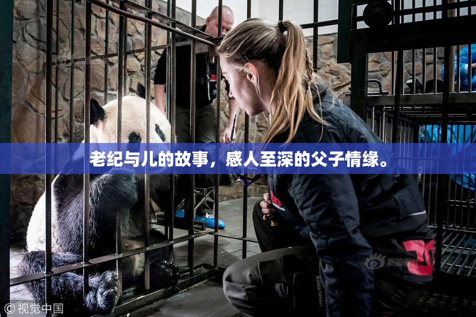 老纪与儿的故事，感人至深的父子情缘。