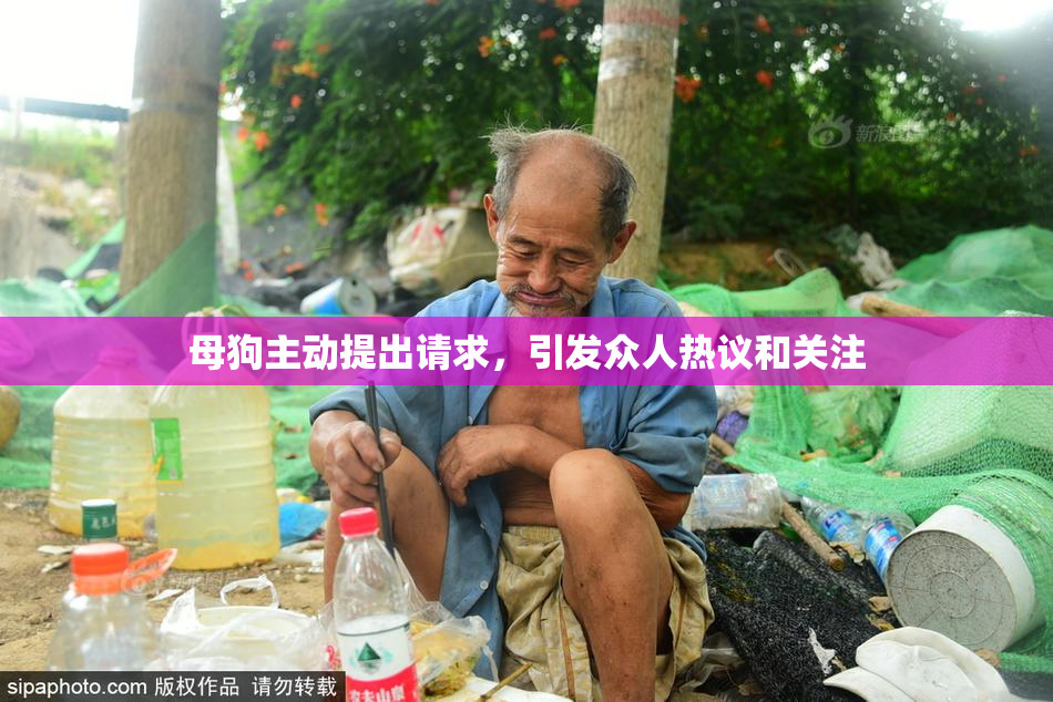 母狗主动提出请求，引发众人热议和关注