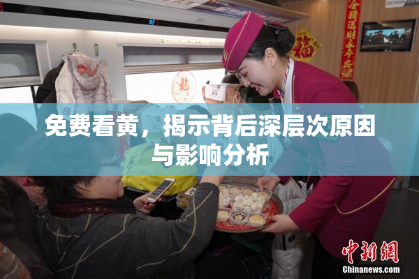免费看黄，揭示背后深层次原因与影响分析