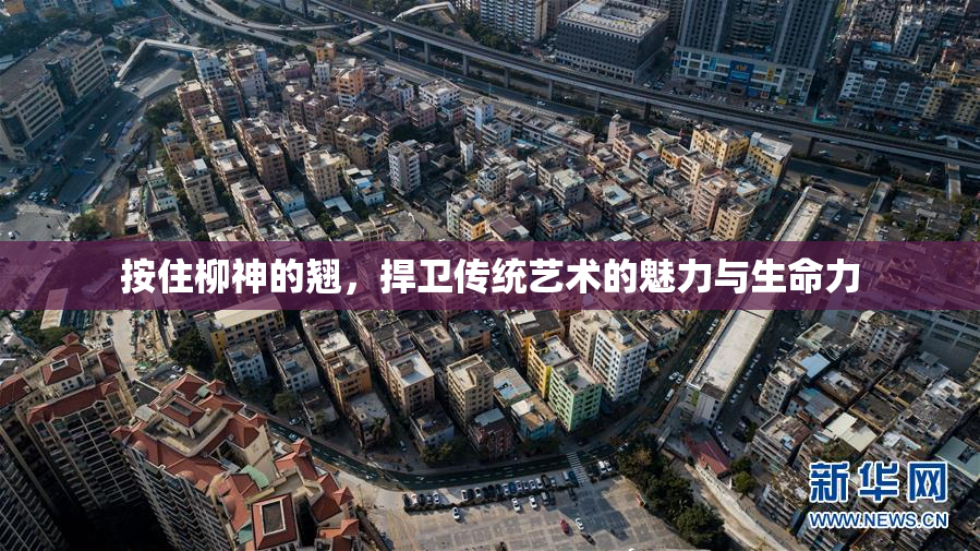 按住柳神的翘，捍卫传统艺术的魅力与生命力
