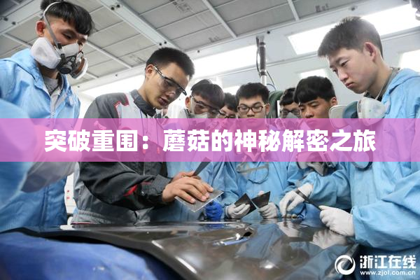 突破重围：蘑菇的神秘解密之旅