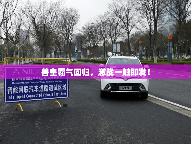 兽皇霸气回归，激战一触即发！
