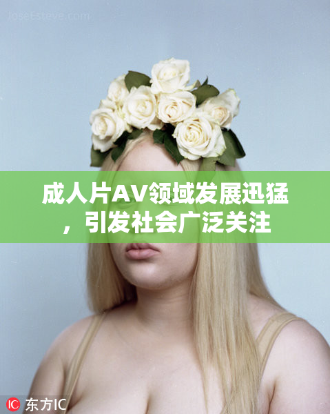 成人片AV领域发展迅猛，引发社会广泛关注
