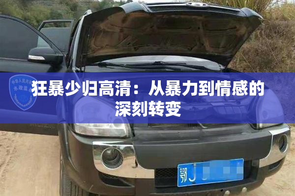 狂暴少归高清：从暴力到情感的深刻转变