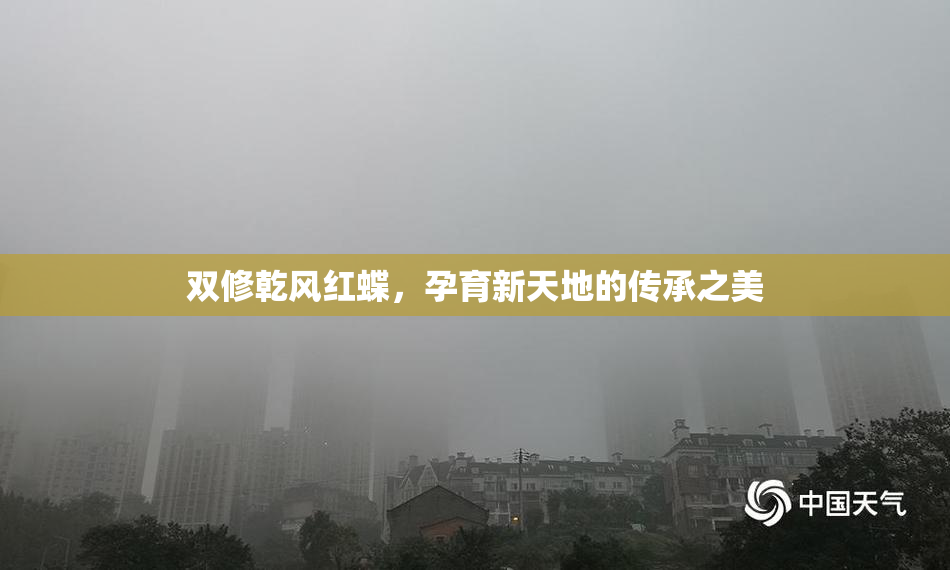 双修乾风红蝶，孕育新天地的传承之美