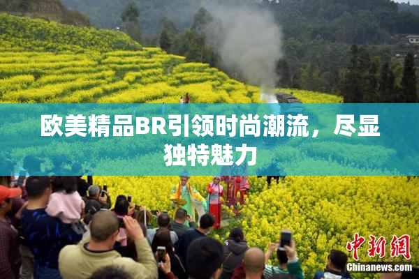 欧美精品BR引领时尚潮流，尽显独特魅力