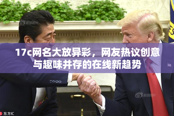17c网名大放异彩，网友热议创意与趣味并存的在线新趋势