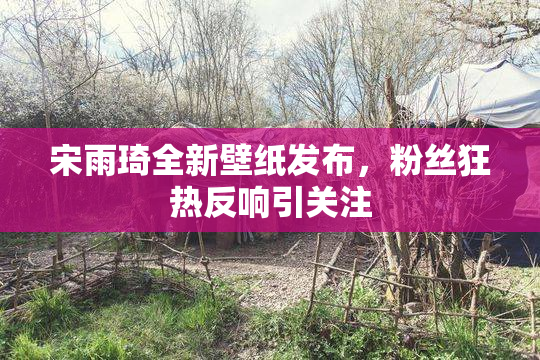宋雨琦全新壁纸发布，粉丝狂热反响引关注