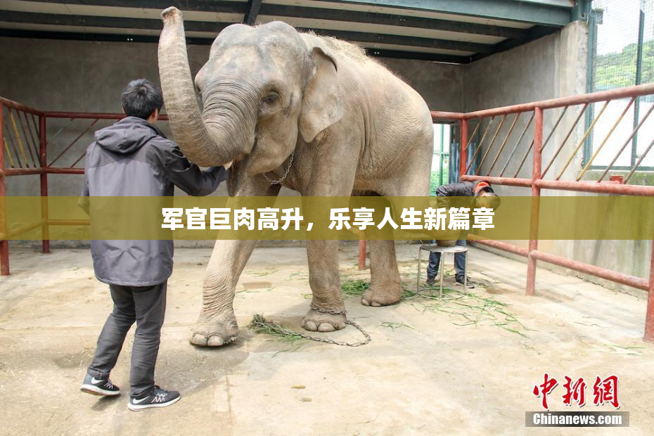 军官巨肉高升，乐享人生新篇章