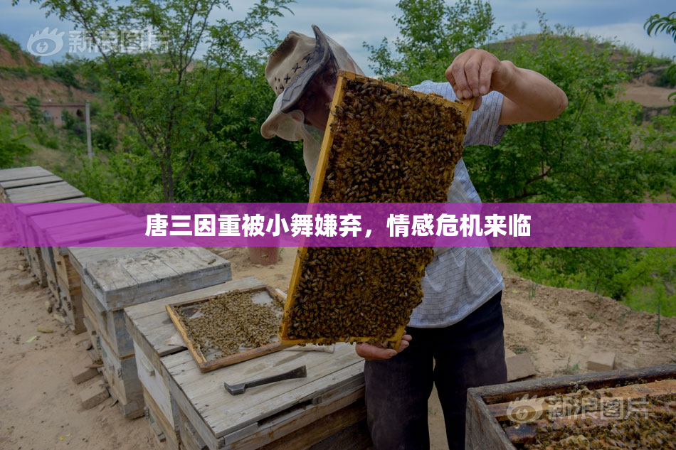 唐三因重被小舞嫌弃，情感危机来临