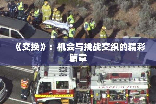 《交换》：机会与挑战交织的精彩篇章
