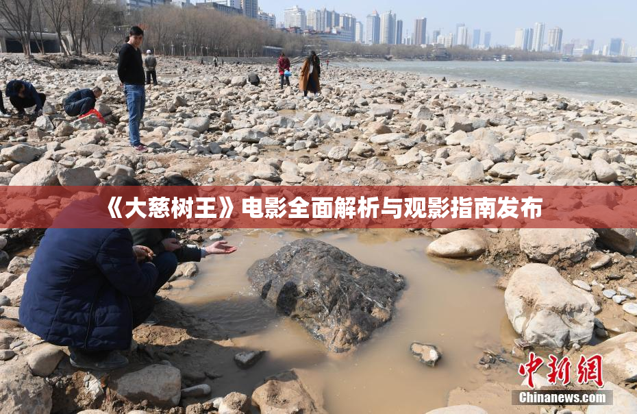 《大慈树王》电影全面解析与观影指南发布