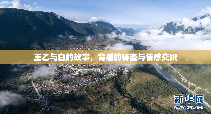 王乙与白的故事，背后的秘密与情感交织