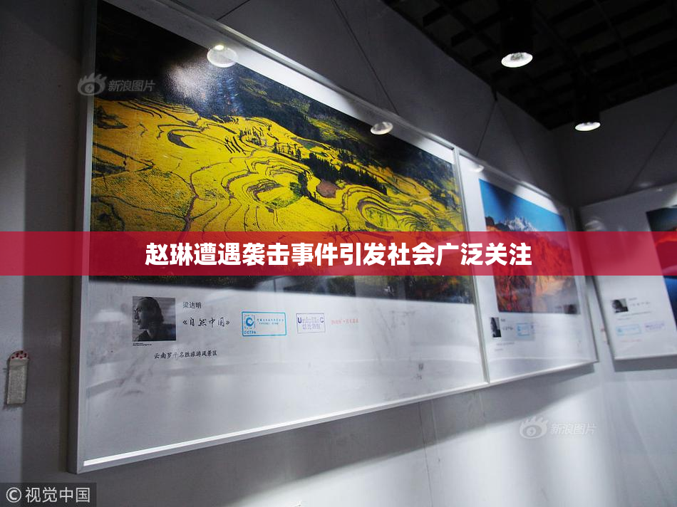 赵琳遭遇袭击事件引发社会广泛关注