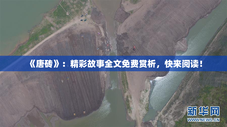 《唐砖》：精彩故事全文免费赏析，快来阅读！