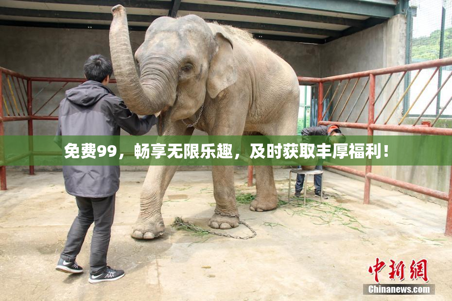 免费99，畅享无限乐趣，及时获取丰厚福利！