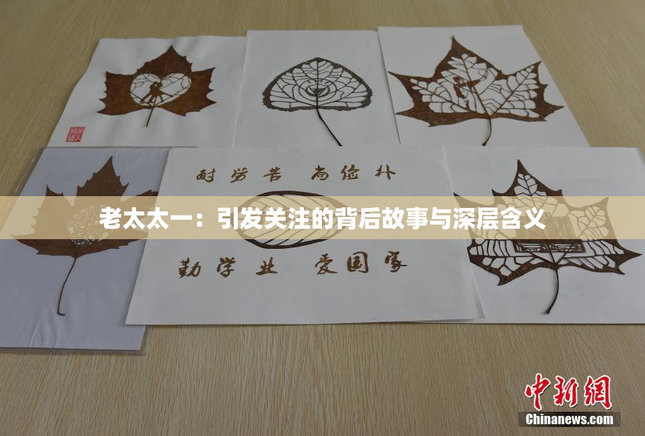 老太太一：引发关注的背后故事与深层含义