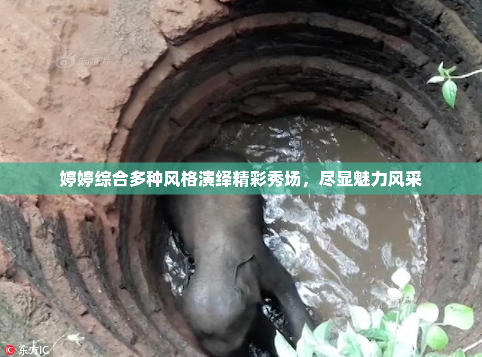 婷婷综合多种风格演绎精彩秀场，尽显魅力风采