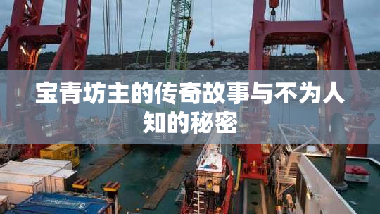 宝青坊主的传奇故事与不为人知的秘密